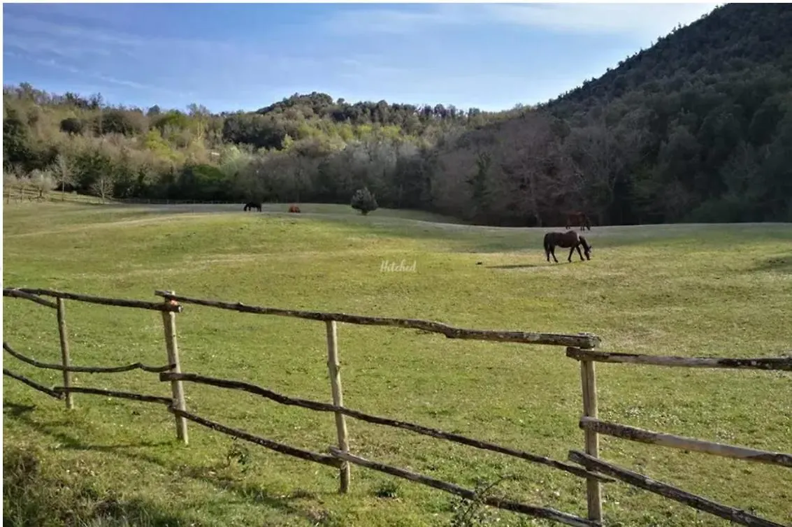 Agriturismo La Fonte 페루자 팜스테이