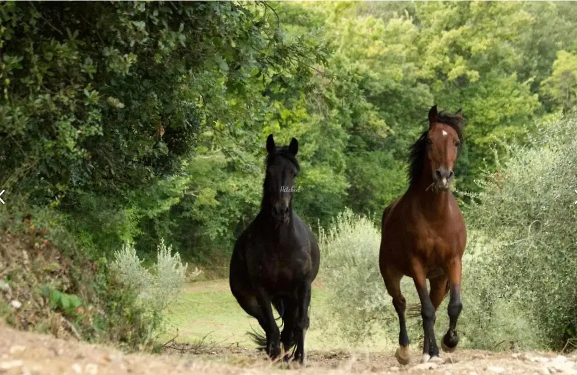 Agriturismo La Fonte Περούτζια 0*,  Ιταλία